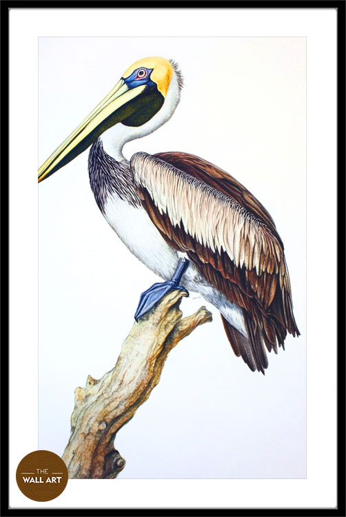 images/products/pelican_on_branch/pelican_on branch_BLACK_PWB.jpg